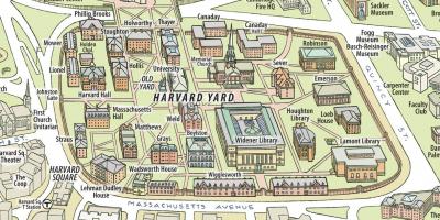 Kartta Harvardin yliopiston